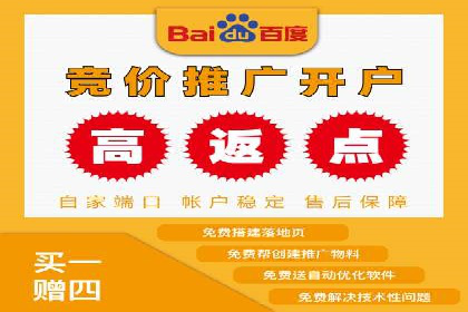 某电商平台的SEM投放全流程案例