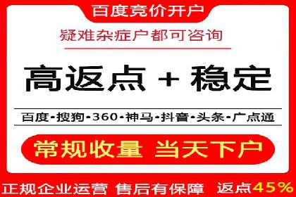 行业内的SEM竞价代运营公司优秀案例剖析